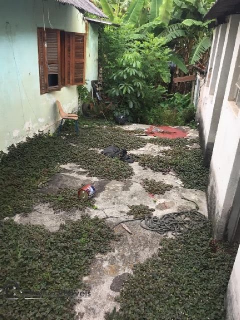 Foto 02