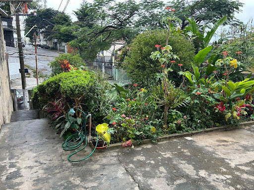 Quintal, outra vista