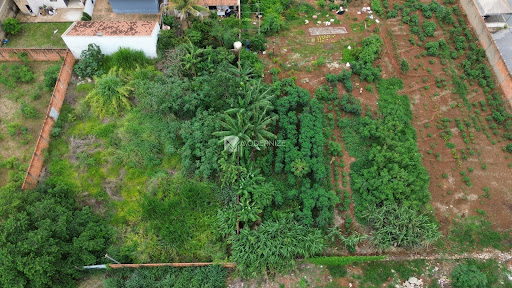 Lote / Terreno em Loteamento Santa Cruz  -  Catalão