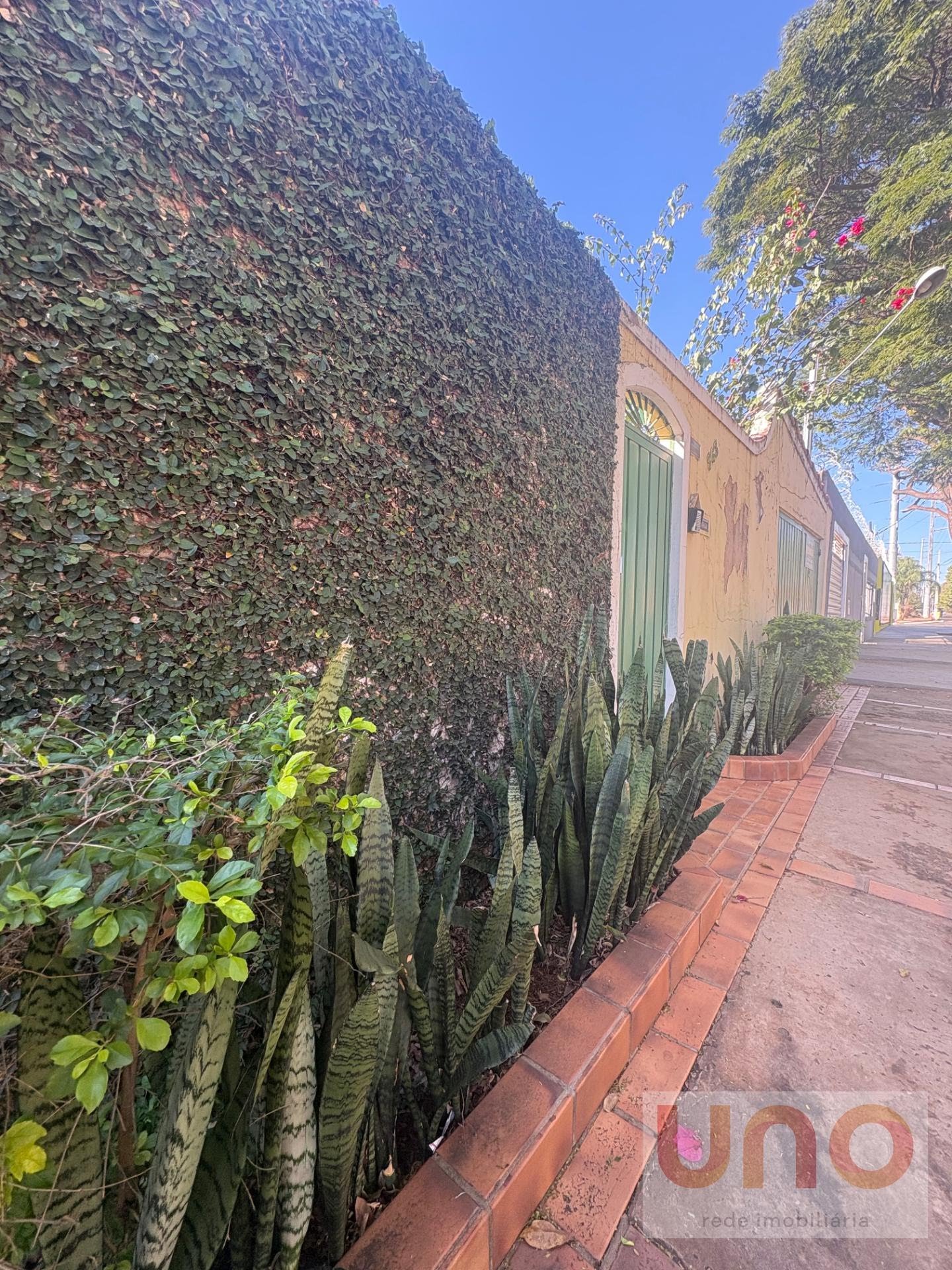 Casa à venda com 3 quartos, 1 banheiro, 5 vagas e 328m² no Universitário, Campo Grande (MS) — foto 10 de 30