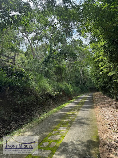 Terreno em Vale Das Videiras  -  Paty do Alferes