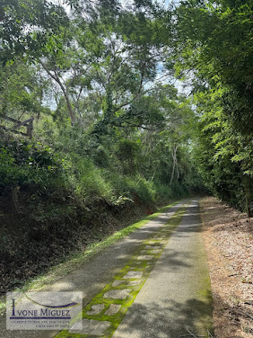 Terreno em Vale Das Videiras  -  Paty do Alferes