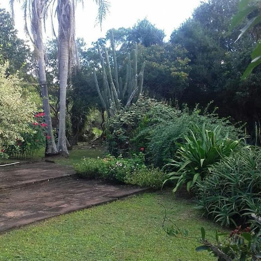 Quintal