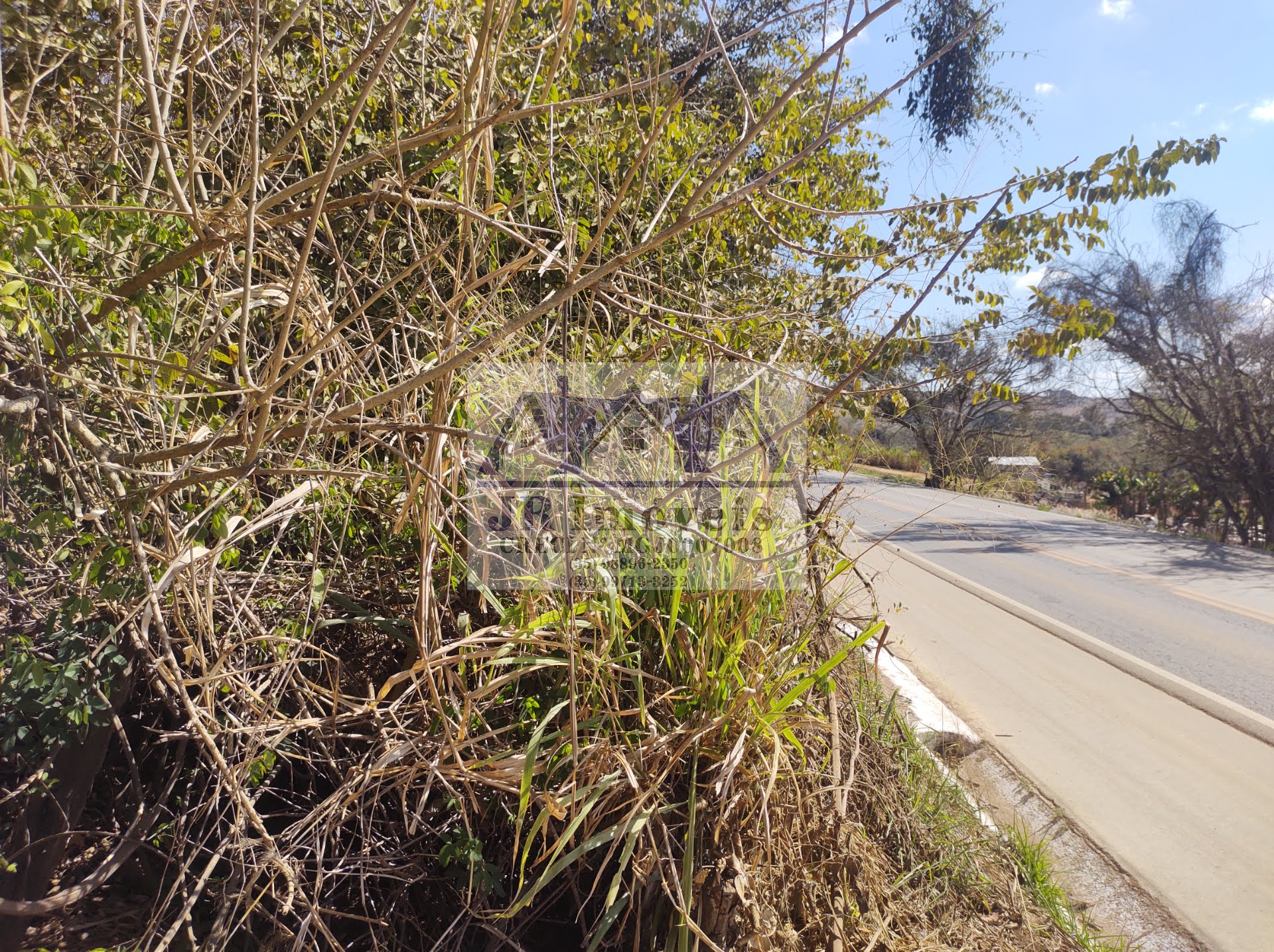 Terreno à venda com 5686m² de terreno no Santa Barbara, Piranguinho (MG) — foto 5 de 17