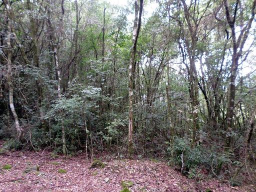Foto 09