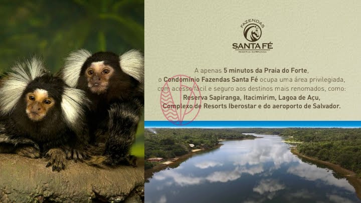 Terreno à venda com 800m² de terreno no Praia do Forte, Mata de São João (BA) — foto 23 de 25