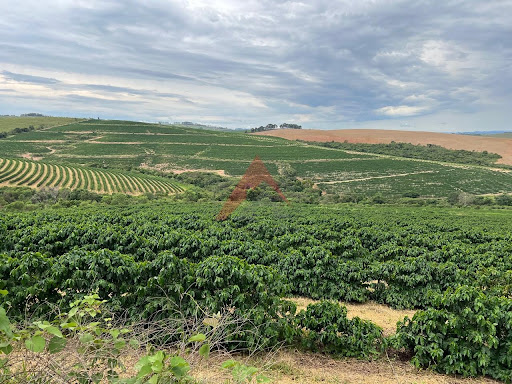 Fazenda em Capitólio-MG