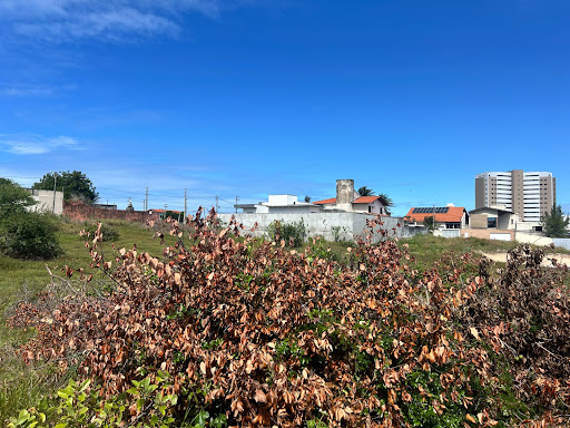 Lote / Terreno em De Lourdes  -  Fortaleza