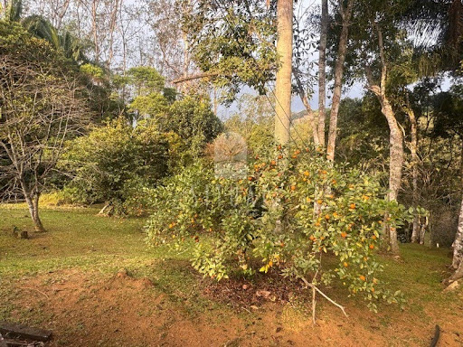 Foto 20