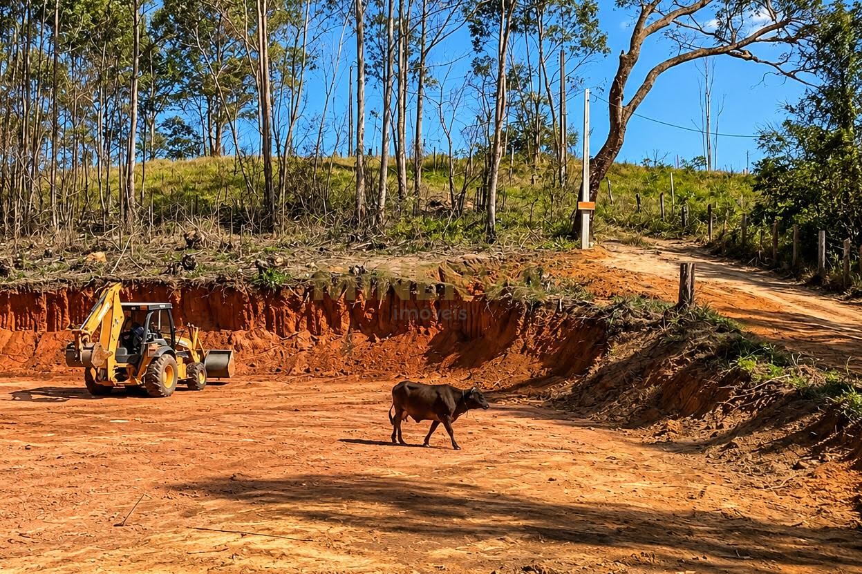 Terreno à venda com 12060m² de terreno no Moinho II, Nazaré Paulista (SP) — foto 4 de 11