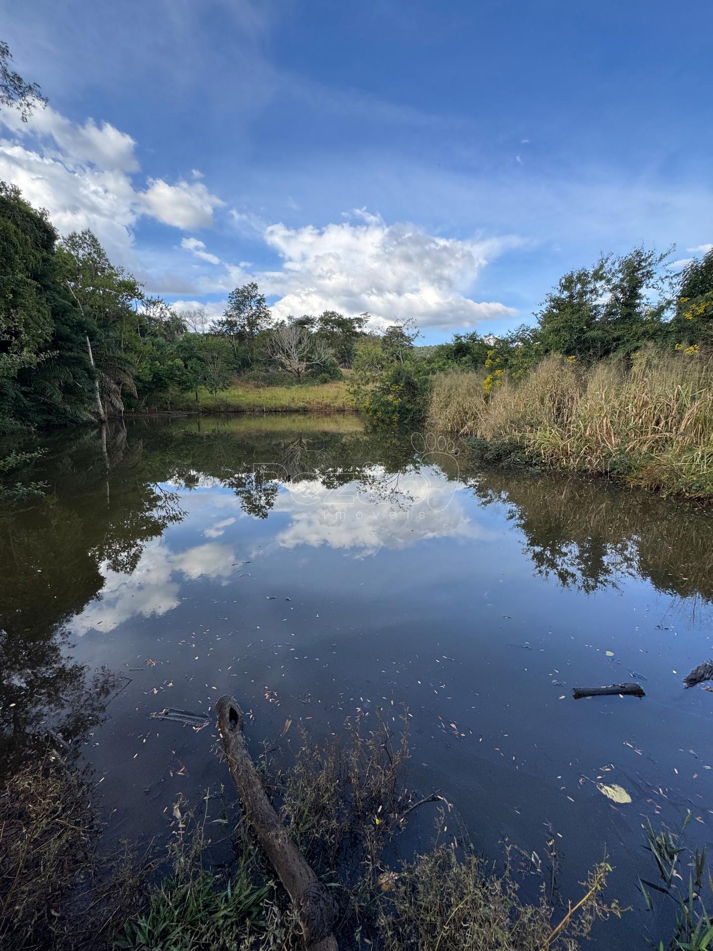 Rural à venda com 308355m² de terreno no Zona Rural de Heitoraí, Heitoraí (GO) — foto 26 de 29