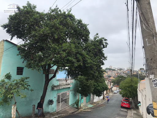 lateral da casa 