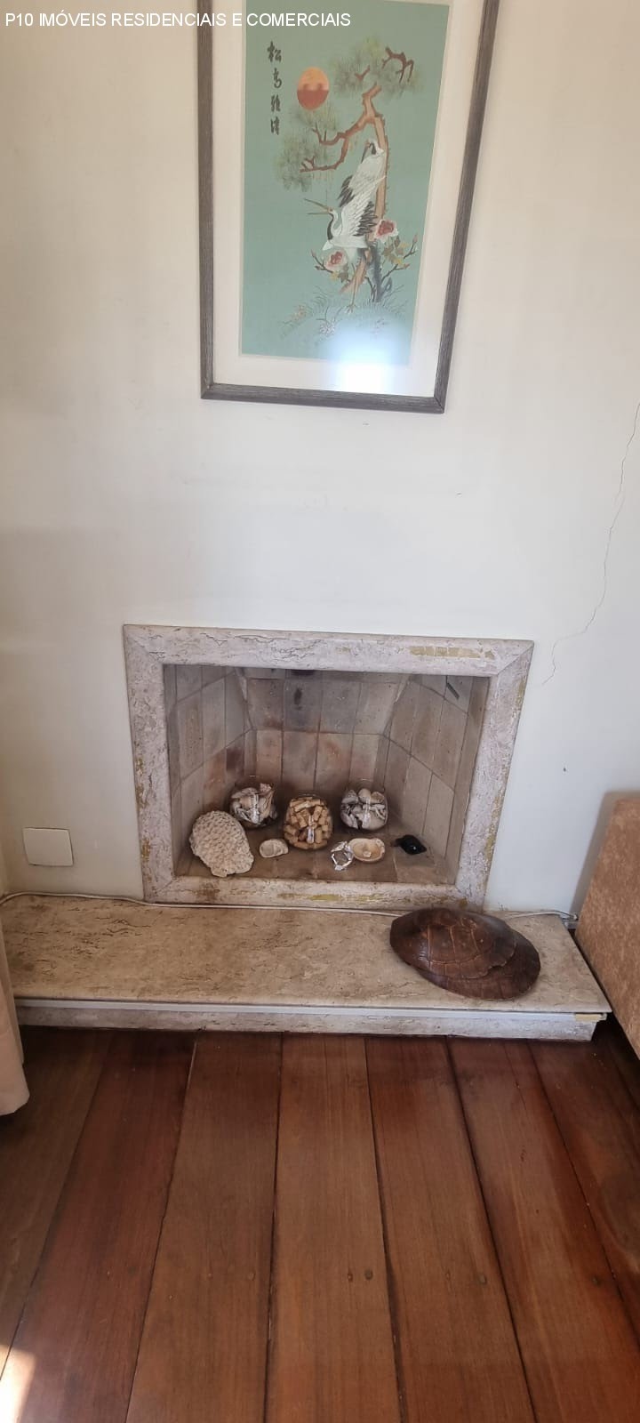 Foto 06