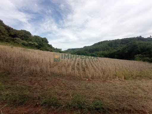 Sítio / Chácara SEM CASA em Coronel Pilar/RS - Comunidade São José