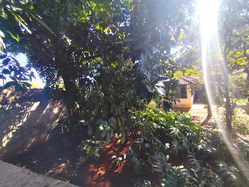 Chácara em Jardim São Bento  -  Campo Grande