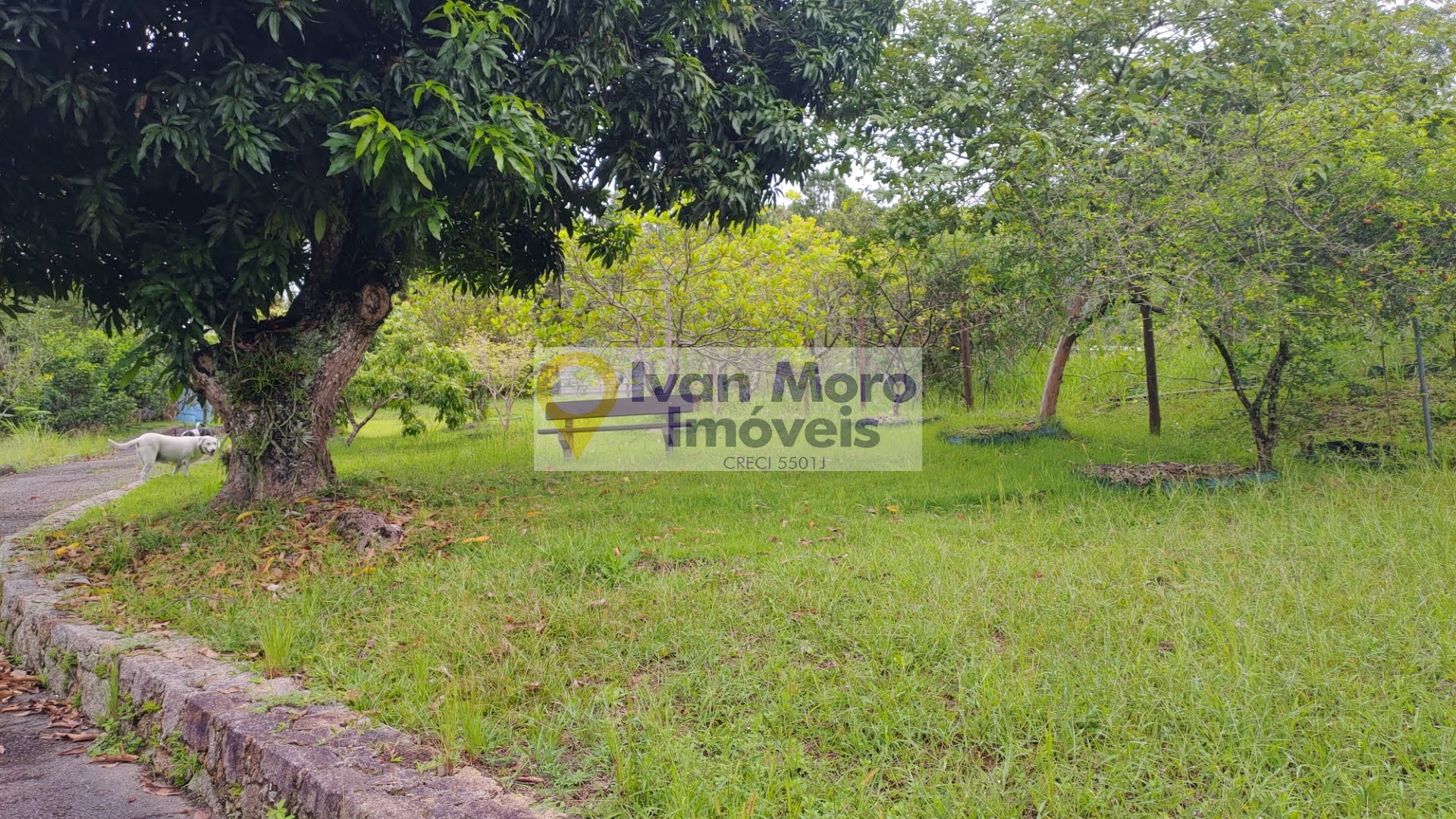 Casa à venda com 3 quartos, 4 banheiros, 4 vagas e 250m² no Ratones, Florianópolis — foto principal