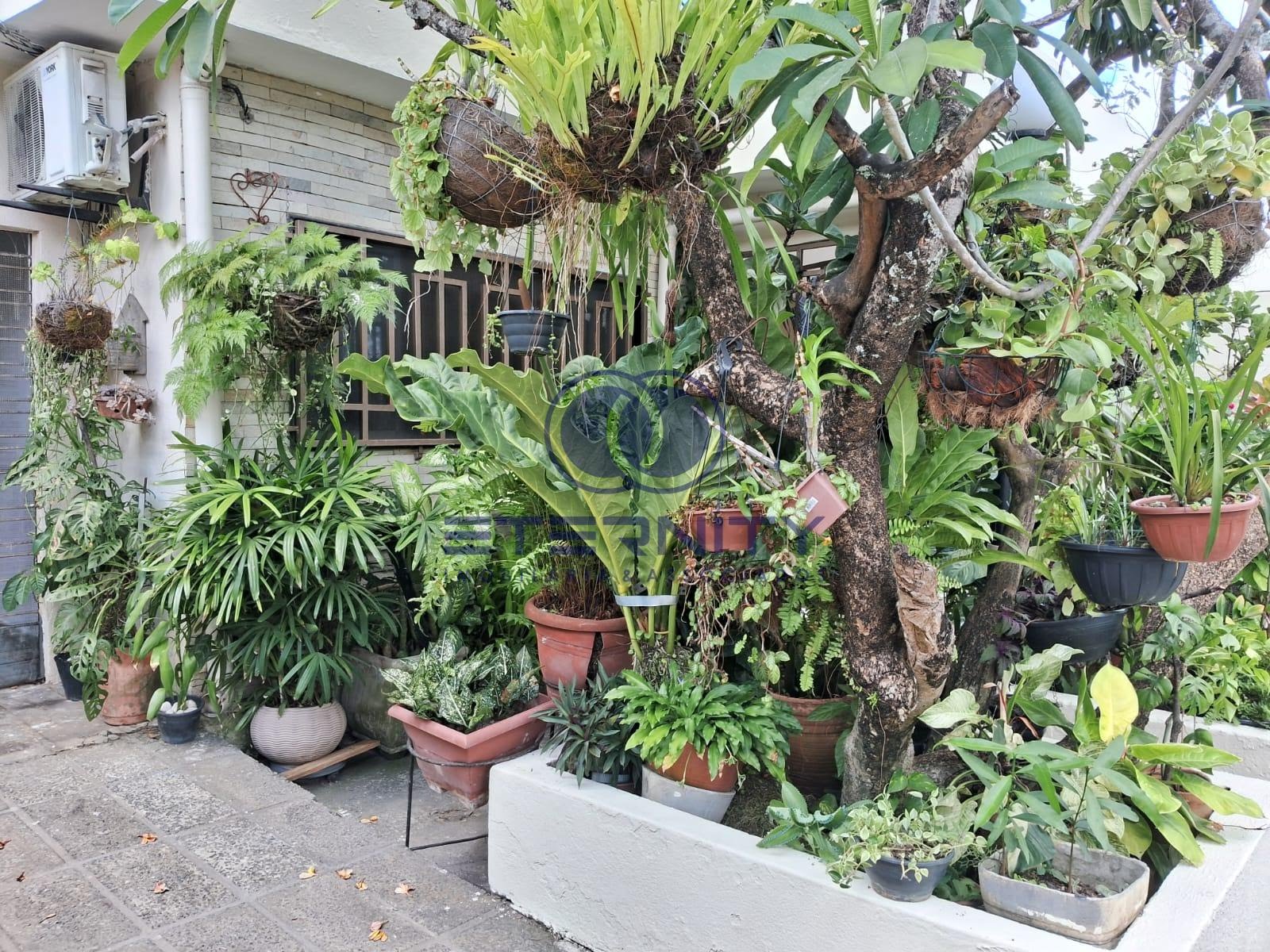 Casa à venda com 4 quartos, 2 suítes, 2 vagas e 360m² no Areias, Recife (PE) — foto 7 de 30