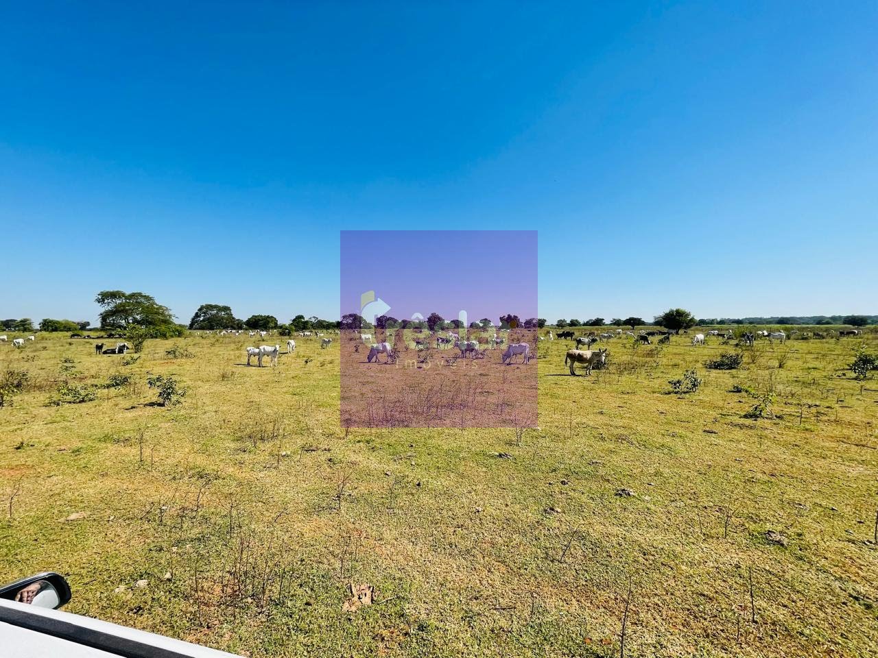 Rural à venda com 1710000m² de terreno no Fazenda, Três Lagoas (MS) — foto 28 de 30