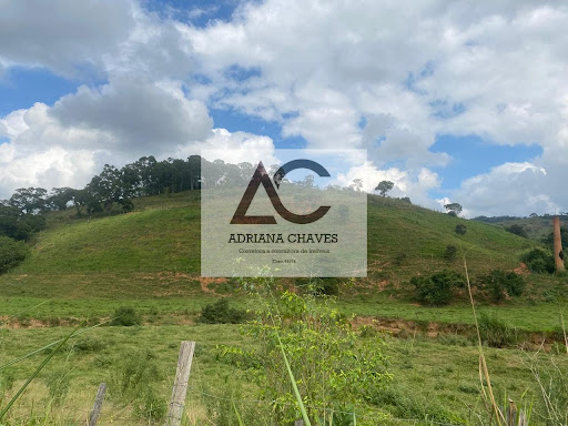 Chácara em Zona Rural  -  Ponte Nova