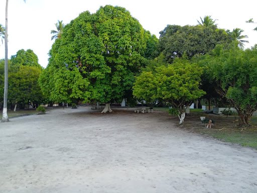 Rural à venda com 270000m² de terreno no Centro, Igarassu (PE) — foto 17 de 17