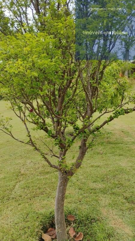 Rural à venda com 5400m² de terreno no Pomar Yuri, São Paulo (SP) — foto 21 de 26