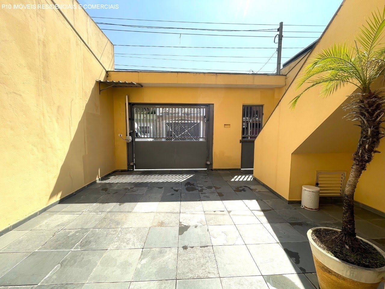 Foto 01