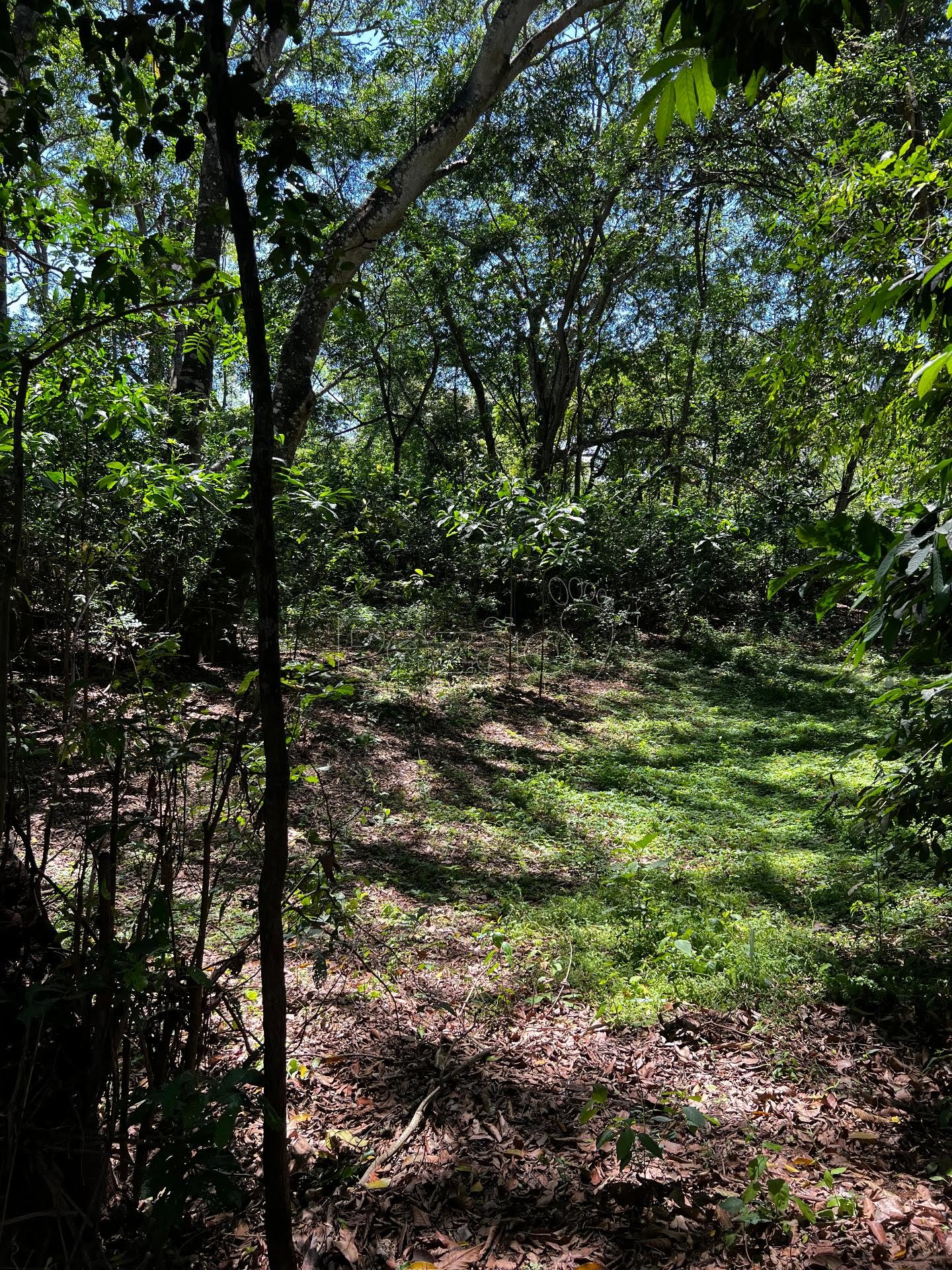 Rural à venda com 8215m² de terreno no Zona Rural de Heitoraí, Heitoraí (GO) — foto 6 de 18
