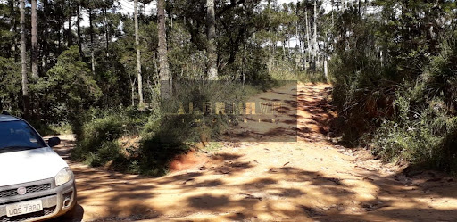 em Município de Piranguçu  -  Piranguçu