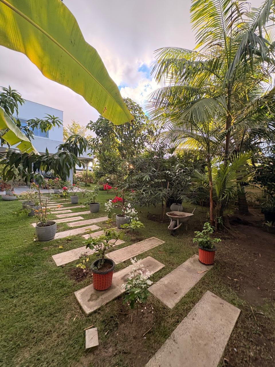 Casa à venda com 3 quartos, 2 suítes, 4 vagas e 440m² no Papagaio, Feira de Santana (BA) — foto 13 de 28