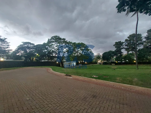 Foto 03