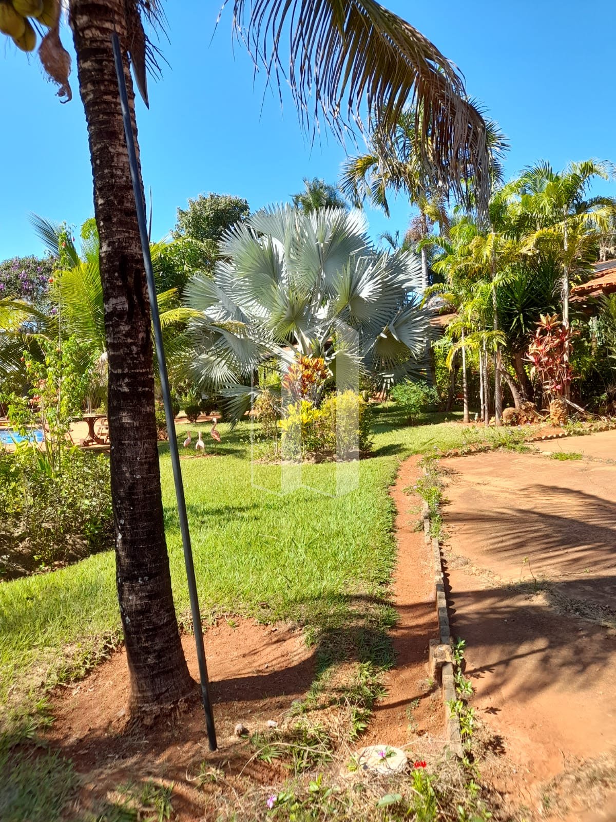 Rural à venda com 1000m² de terreno no Chácaras Vargem Bonita II, Senador Canedo (GO) — foto 7 de 23