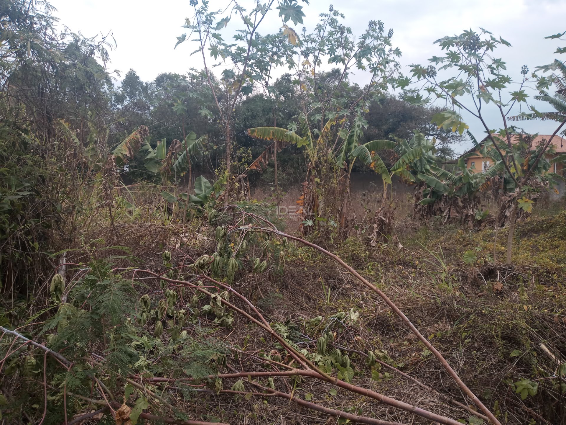 Comercial à venda com 1 banheiro e 18000m² no Mineiros, Campos dos Goytacazes (RJ) — foto 25 de 25