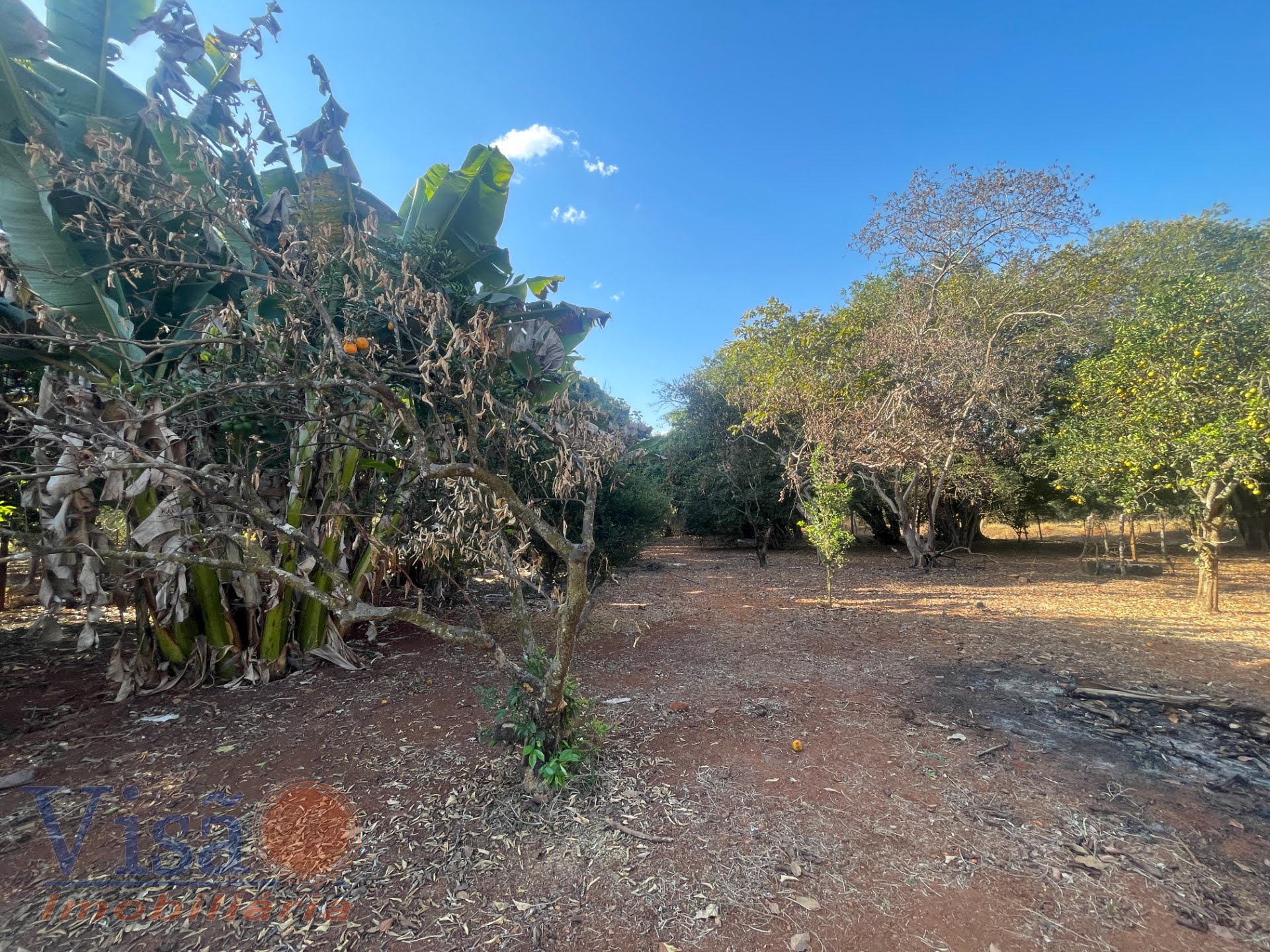 Rural à venda no Fazd, Paracatu (MG) — foto 3 de 22