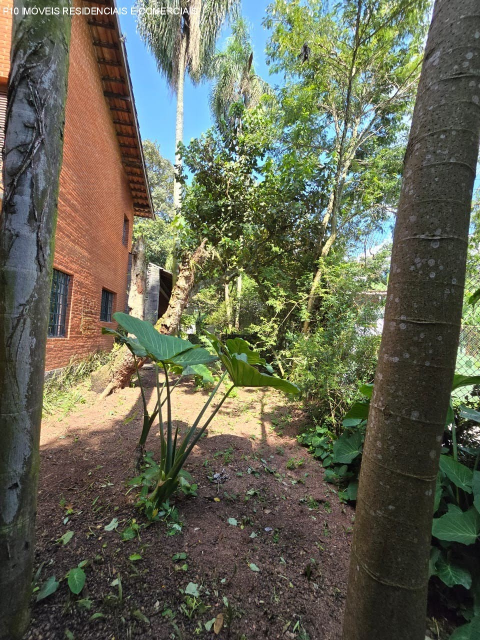 Foto 01