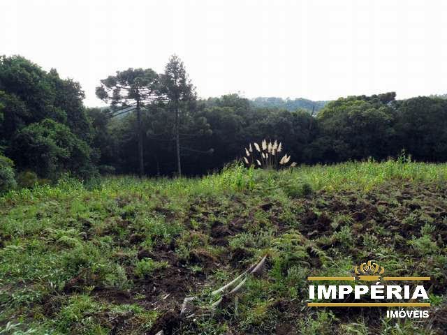 Foto 03