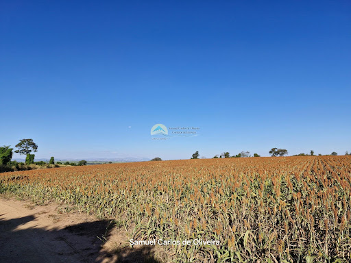 fazenda a venda em casa branca