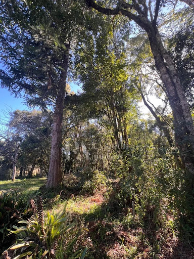 Terreno Amplo – Bairro Lençol, São Bento do Sul, SC