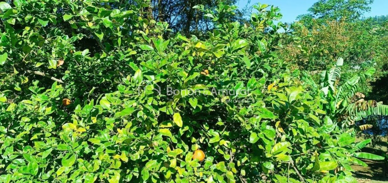 Terreno, 12 m² - Foto 14
