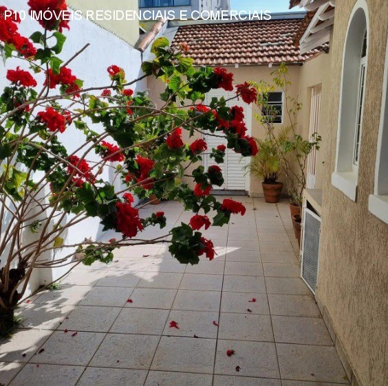 Foto 01