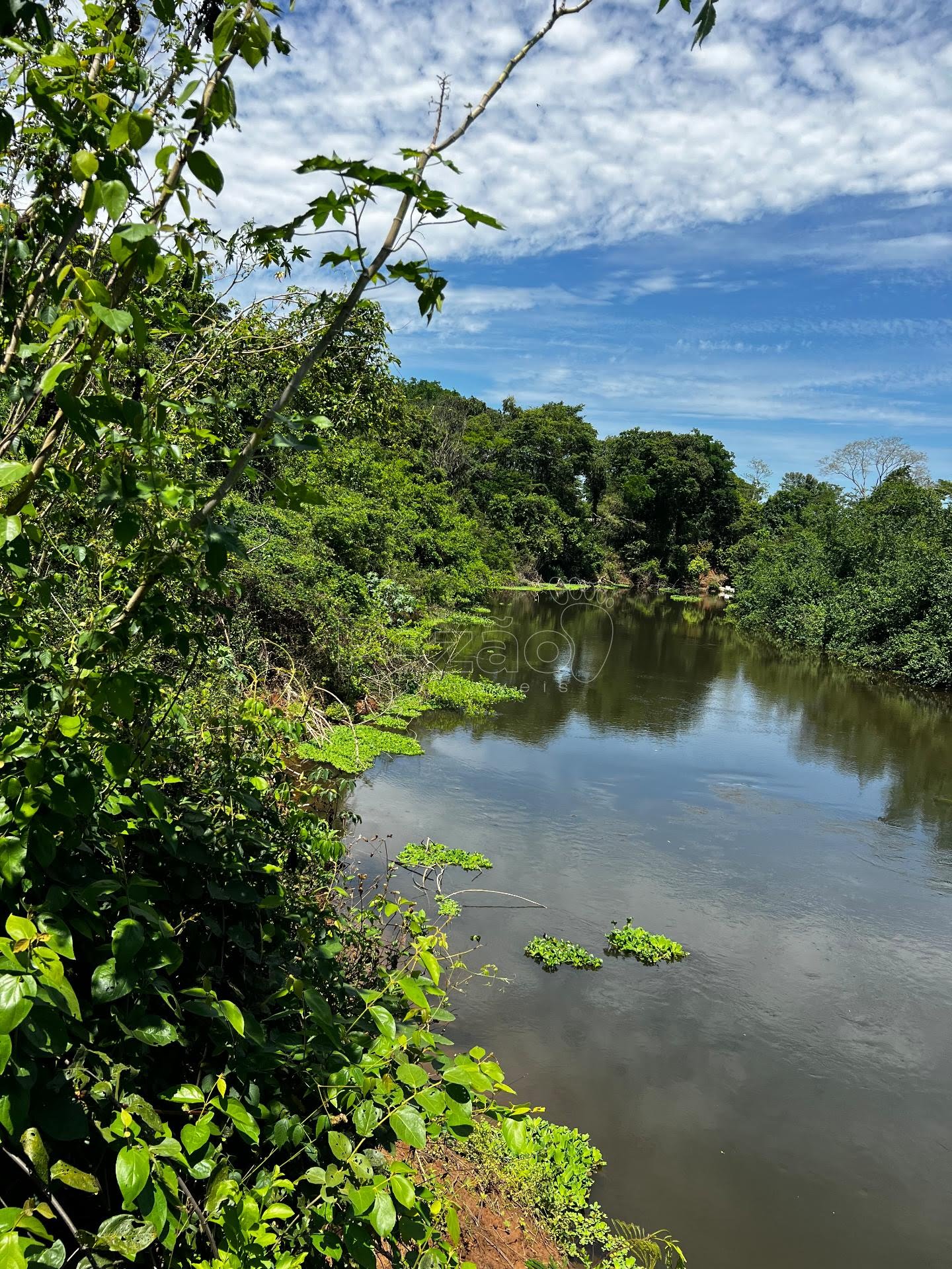 Rural à venda com 8215m² de terreno no Zona Rural de Heitoraí, Heitoraí (GO) — foto 4 de 18