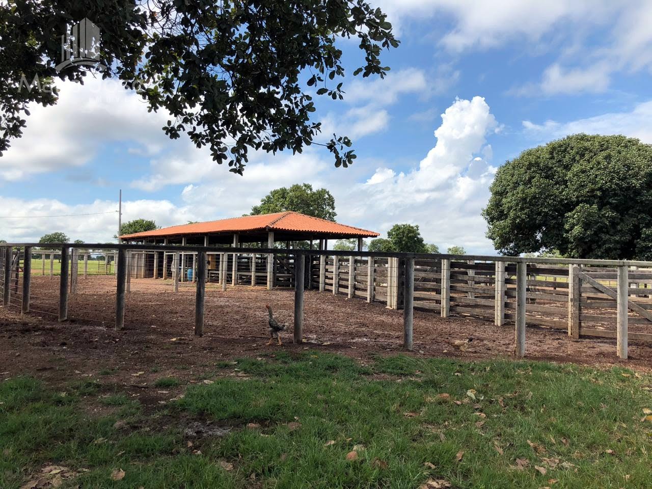 Rural à venda com 78020000m² de terreno no Zona Rural, Araguaiana (MT) — foto 19 de 30
