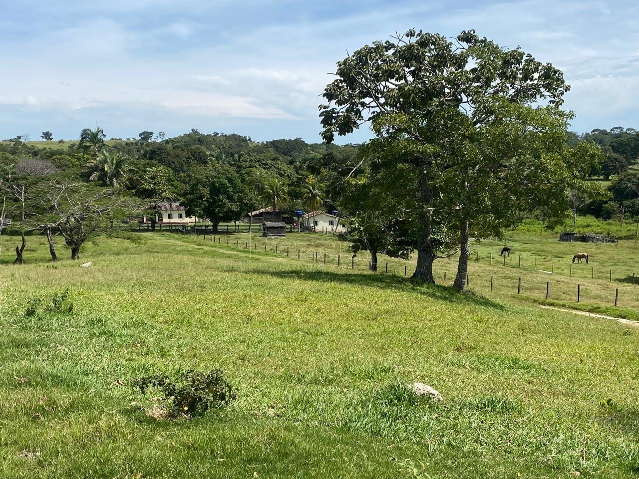 Rural à venda no Zona Rural, Itapuranga (GO) — foto 7 de 18