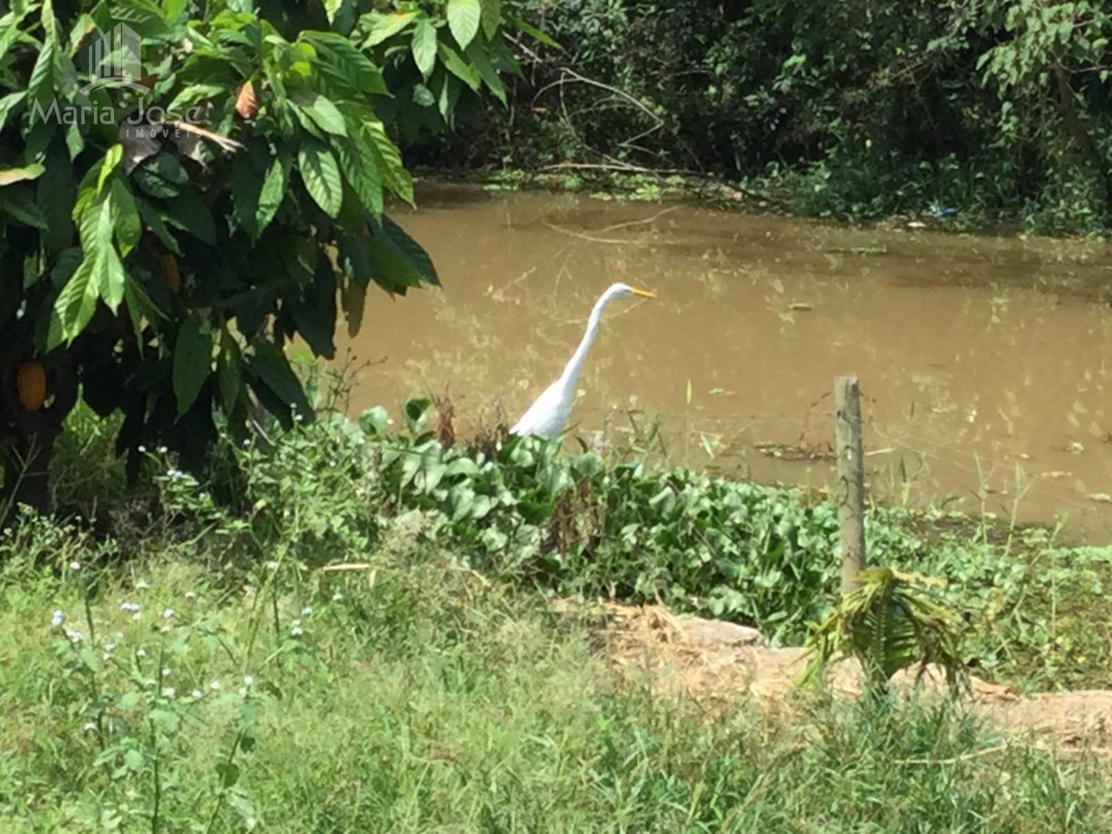 Casa à venda com 3 quartos, 1 suíte e 4 vagas no São Vicente, Cachoeira da Prata (MG) — foto 10 de 17