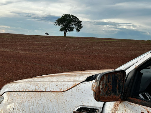 Fazenda em Zona Rural  -  Campo Grande