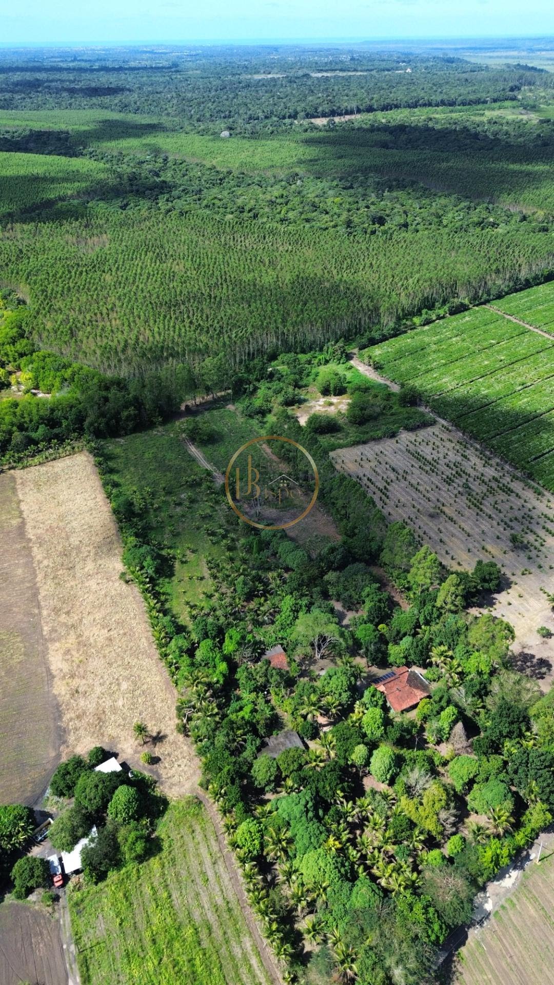 Rural à venda com 35000m² de terreno no Br367, Porto Seguro (BA) — foto 11 de 17