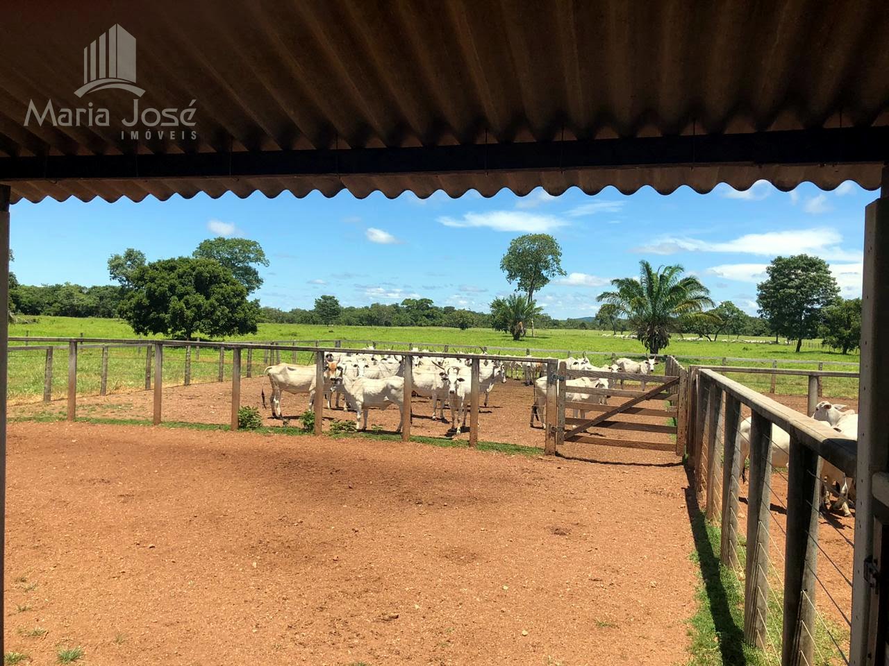 Rural à venda com 78020000m² de terreno no Zona Rural, Araguaiana (MT) — foto 17 de 30