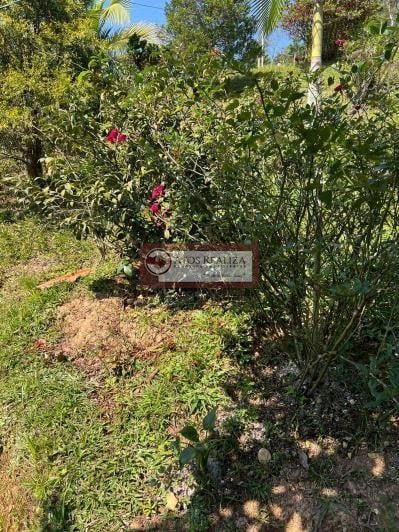 Rural à venda com 20800m² de terreno no Engenheiro Marsilac, São Paulo (SP) — foto 10 de 19