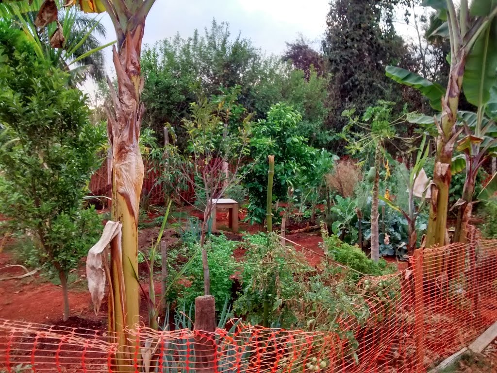Terreno à venda no Nossa Senhora das Graças, Sete Lagoas (MG) — foto 8 de 14