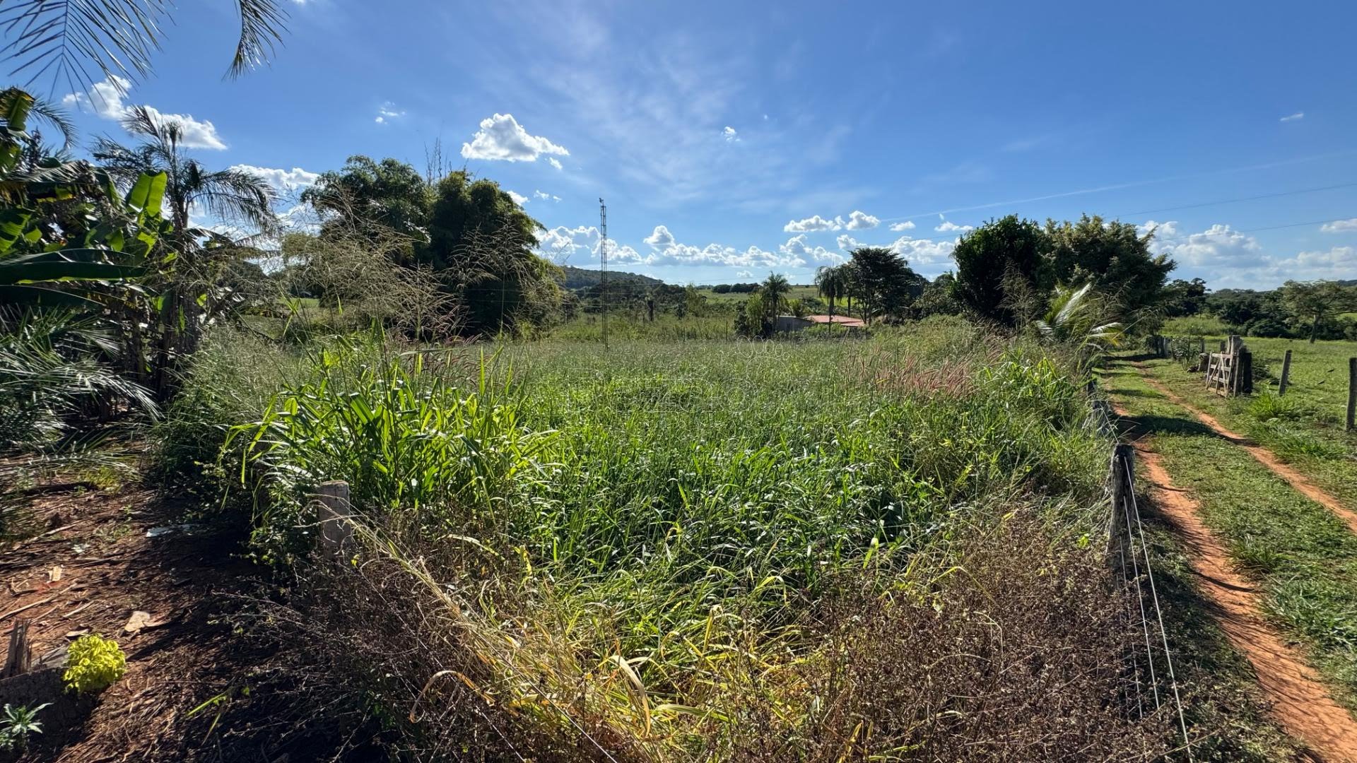 Rural à venda com 45980m² de terreno no Zona Rural, Itapuranga (GO) — foto 16 de 26