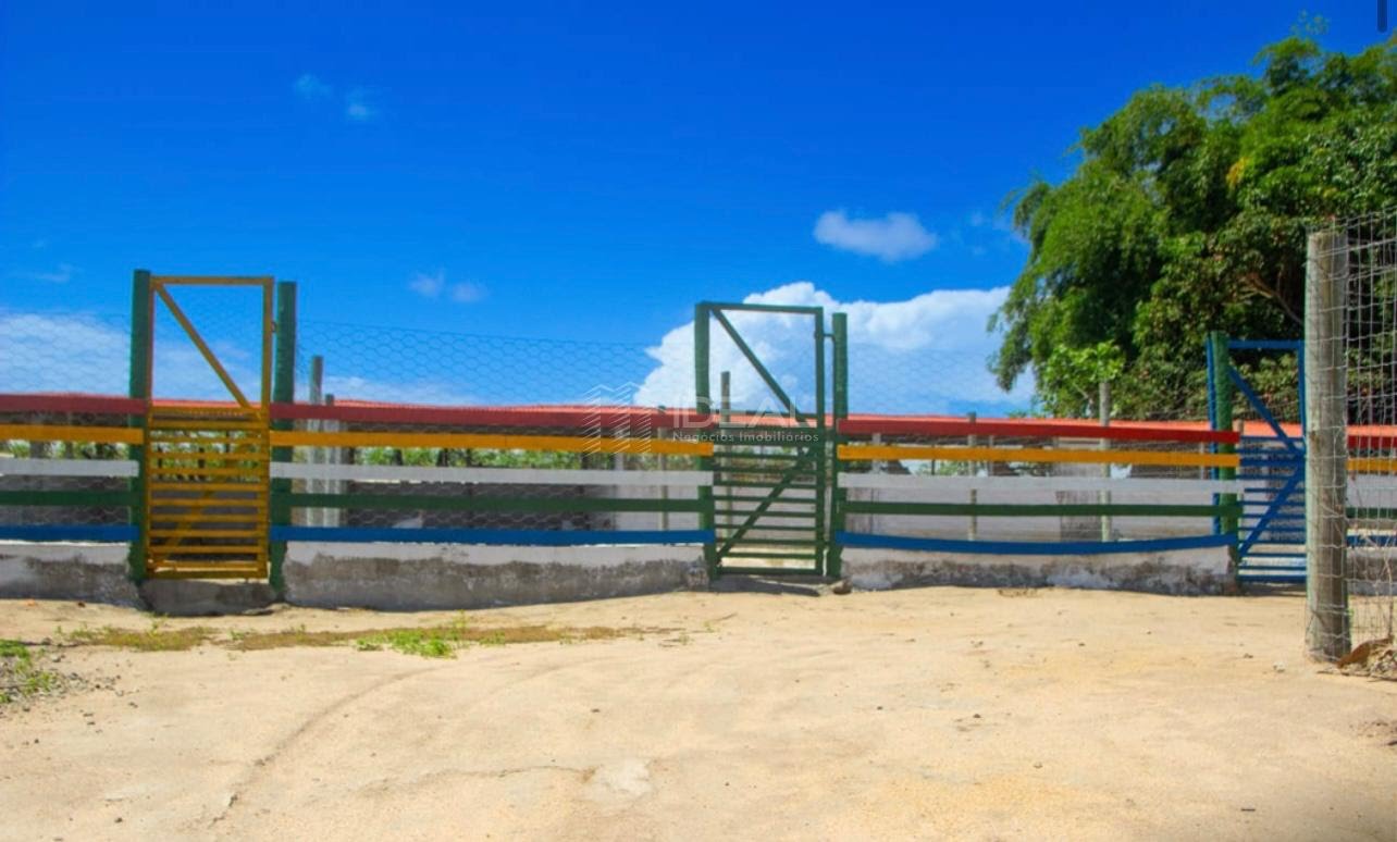 Terreno à venda no Canto do Junco, São Francisco de Itabapoana (RJ) — foto 22 de 30
